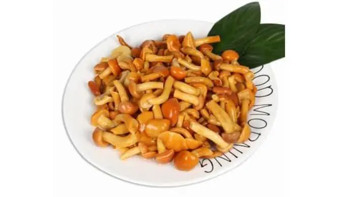新鲜滑菇 250g±10g/份