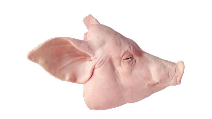 政和新鲜现杀猪头皮  半个/份