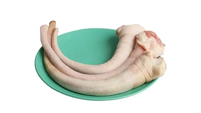 政和新鲜现杀猪尾巴 1根