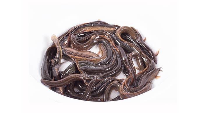 新鲜泥鳅 500g±10g/份