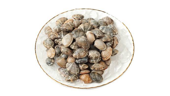 新鲜鲜活花蛤 500g±10g/份