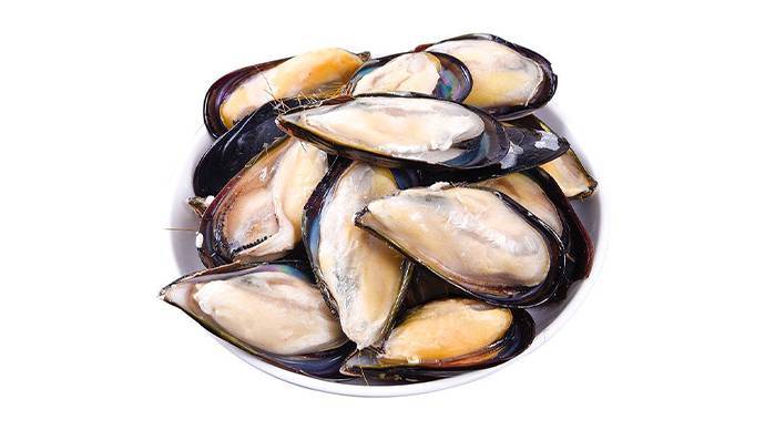 新鲜鲜活淡菜 500g±10g/份