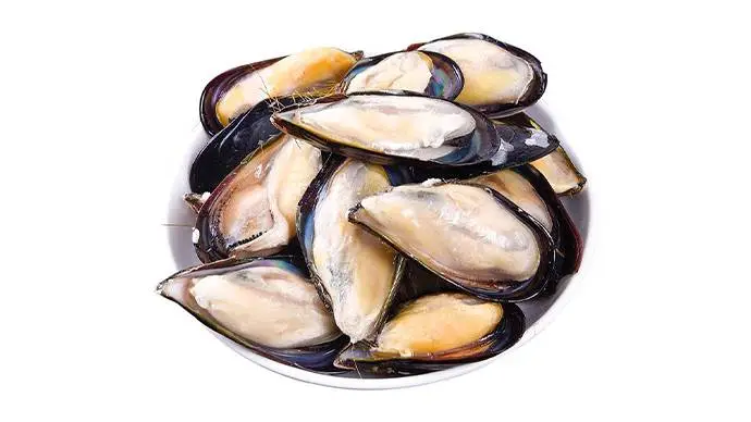 新鲜鲜活淡菜 500g±10g/份