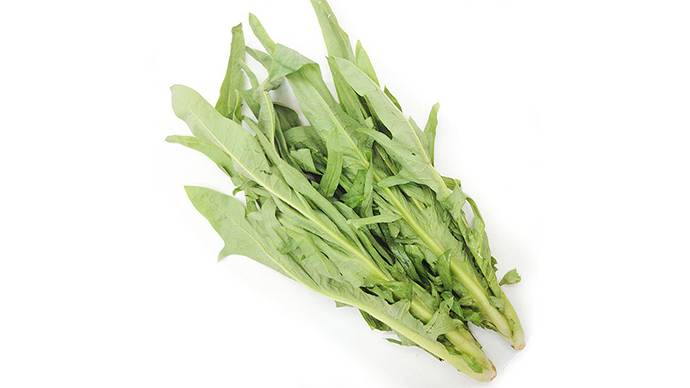 新鲜麦子叶苦麦菜 450g-500g/份