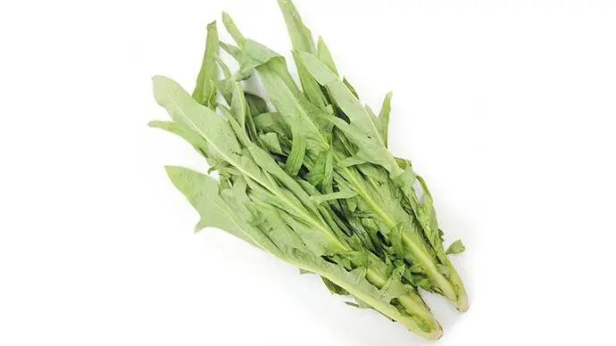 新鲜麦子叶苦麦菜 450g-500g/份