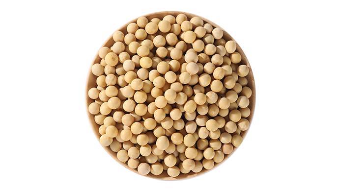 新鲜干货黄豆   450g-500g/份