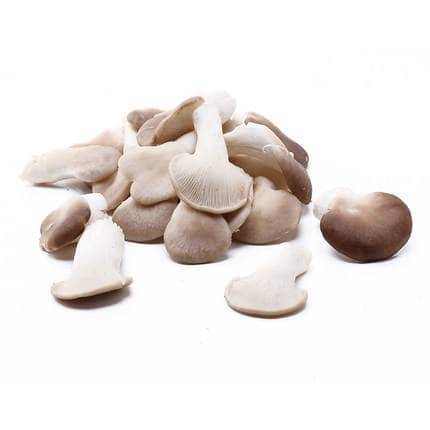 新鲜秀珍菇240g-260g/份  