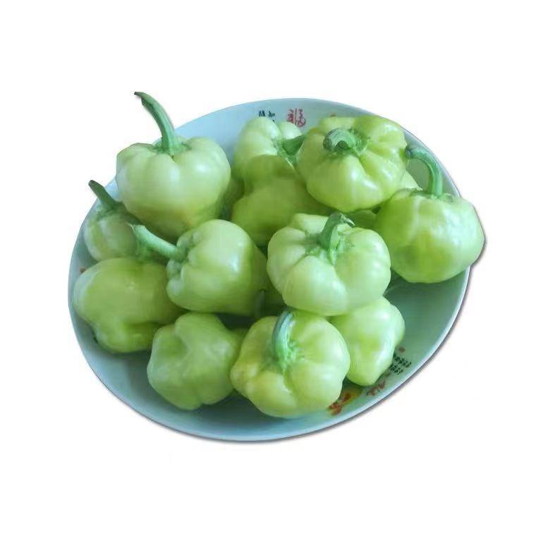 新鲜灯笼椒辣椒     250g±50g/份