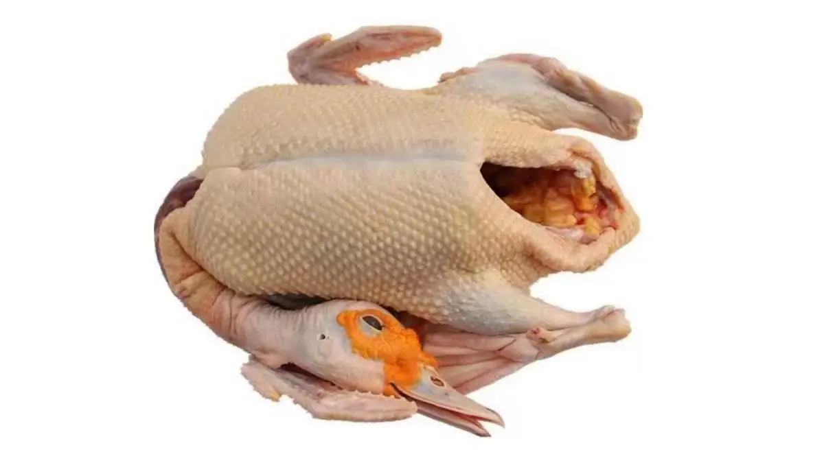 玉米老母番鸭2.7斤-3斤/只）（家禽上午10点半到13点半暂停接单，下午13点半-16点半可下单)