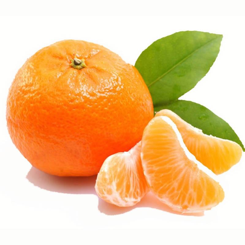 新鲜芦柑 450-500g/份