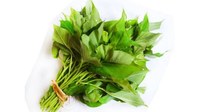 新鲜地瓜叶番薯叶 450g-500g/份