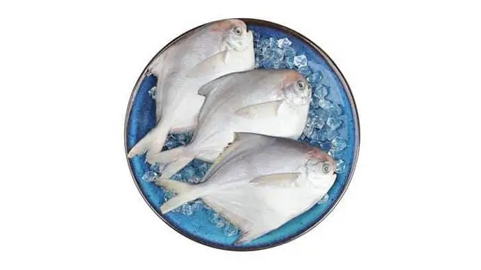 冰鲜白鲳鱼450g-500g/份