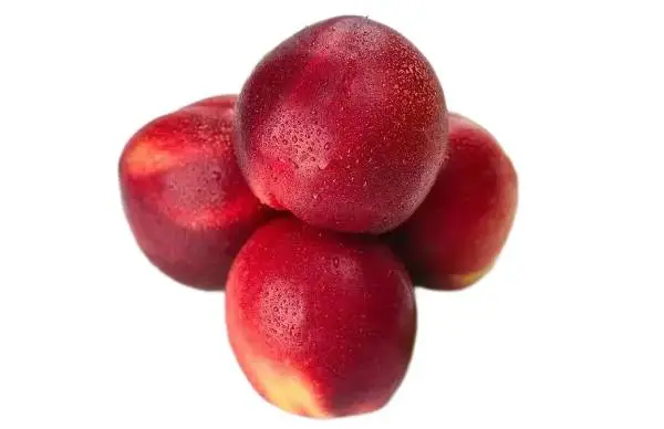 新鲜红油桃 450g-500g/份