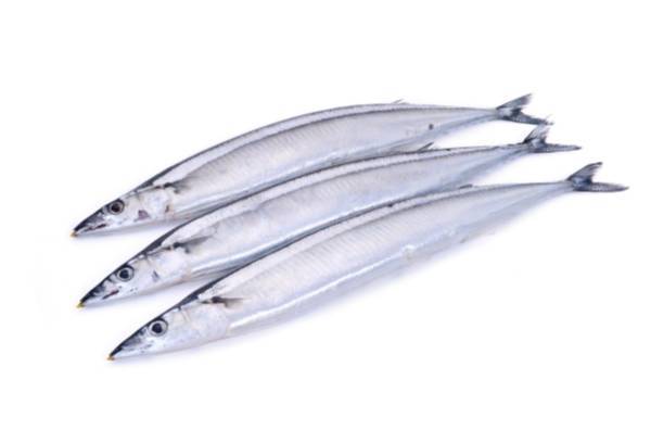 冰冻秋刀鱼 470g-510g/份
