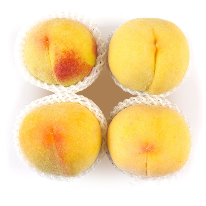 新鲜黄桃    450g-500g/份