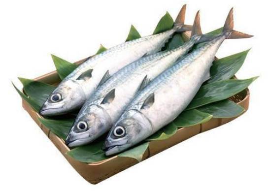 冰冻巴浪鱼约  500g-550g/份
