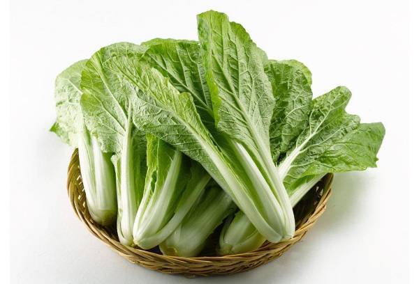 新鲜小白菜（快白苗） 450g-500g/份