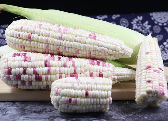   新鲜本地花玉米带壳   350g-400g/份 