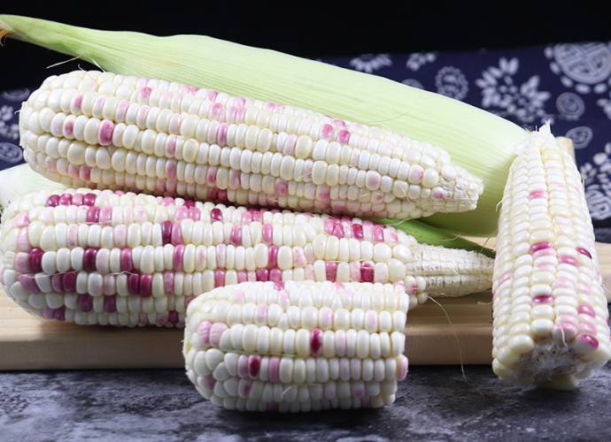   新鲜本地花玉米带壳   350g-400g/份 