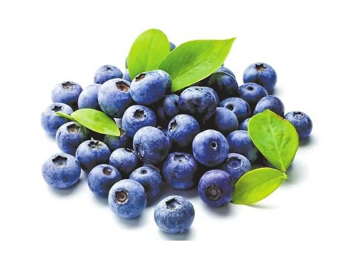 【9.9两盒】云南花香蓝莓蓝莓    约100g/2盒