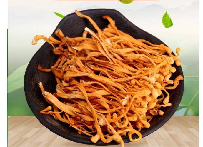 散装虫草花     100g/份