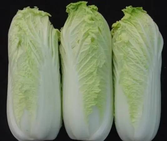新鲜 大娃娃菜1-1.5斤/个
