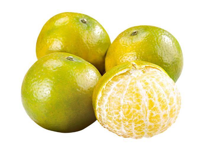 新鲜皇帝柑   450g-500g/份 