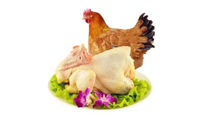 现杀本地贺村鸡 1只 2.8斤-3.2斤（家禽上午10点半到13点半暂停接单，下午13点半-16点半可下单)