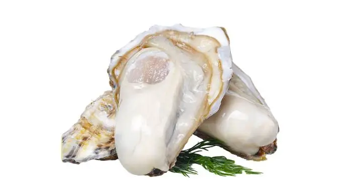 鲜活2.5+生蚝 450g-500g/份