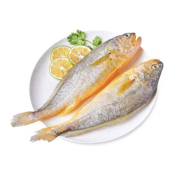 冰鲜大黄瓜鱼 400g-450g/份（不包杀）