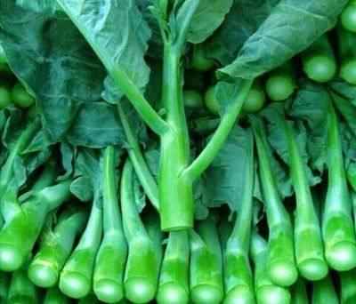 新鲜蔬菜 广东小芥兰  450g-500g/份
