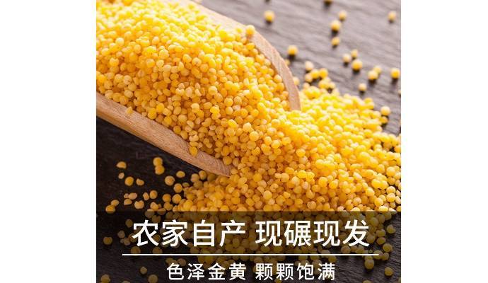 小米   490g-510g/份【散装】