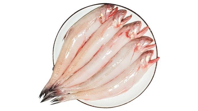  冰鲜龙头鱼  390g-420g/份