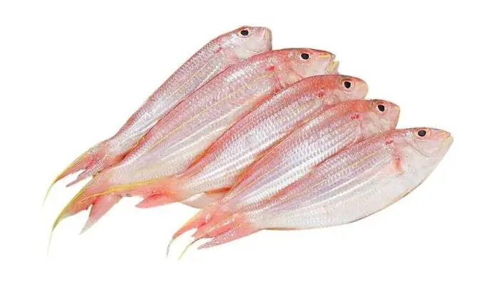 冰冻金线鱼     400g-450g/条