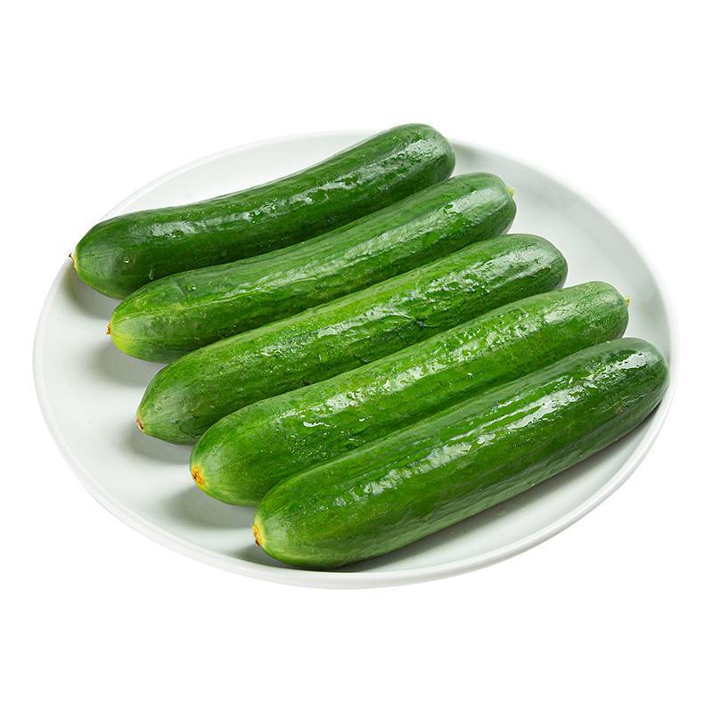    新鲜水果小黄瓜   450g-500g/份