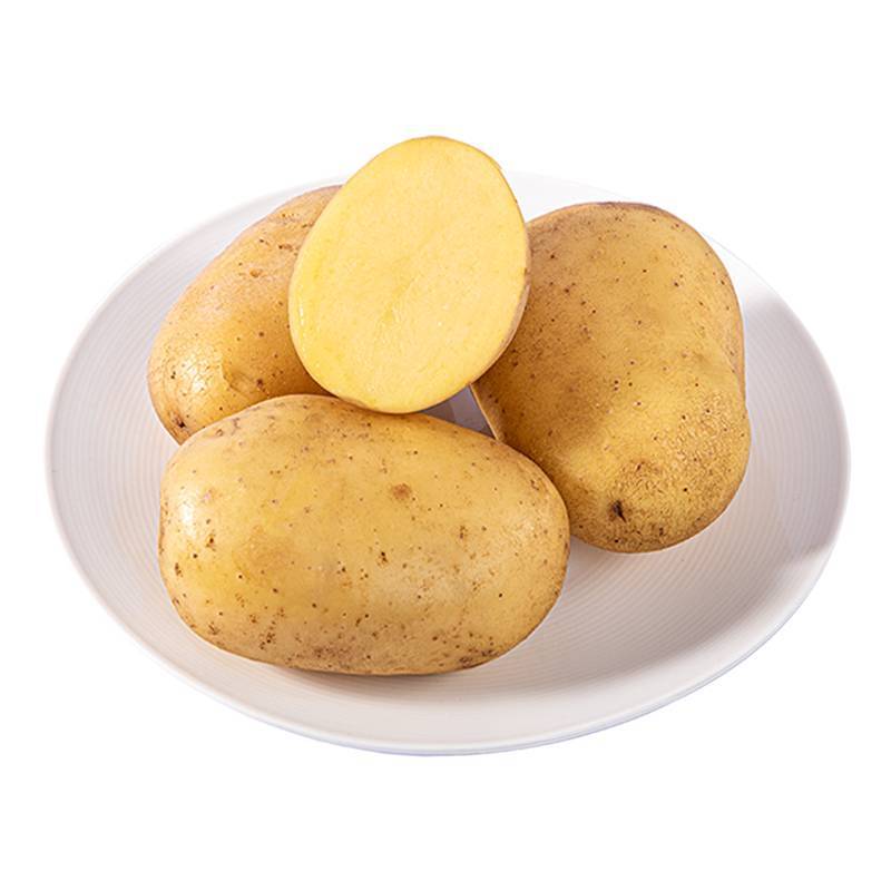 新鲜小号土豆 450g-500g/份