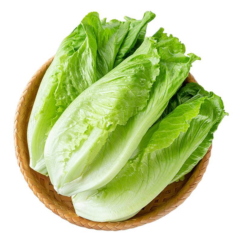 新鲜生菜 （春菜）400g-500g份