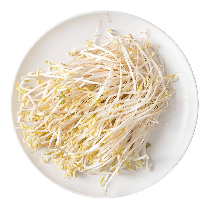 绿豆芽     450g-510g/份  