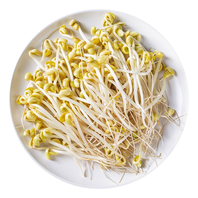 黄豆芽     450g-510g/份  