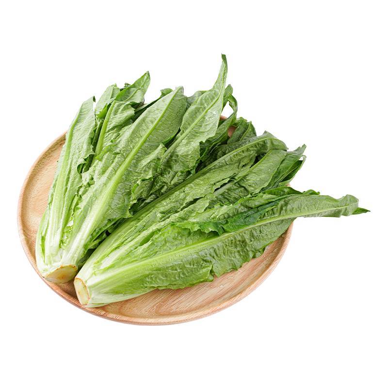 新鲜油麦菜    450g-500g/份  
