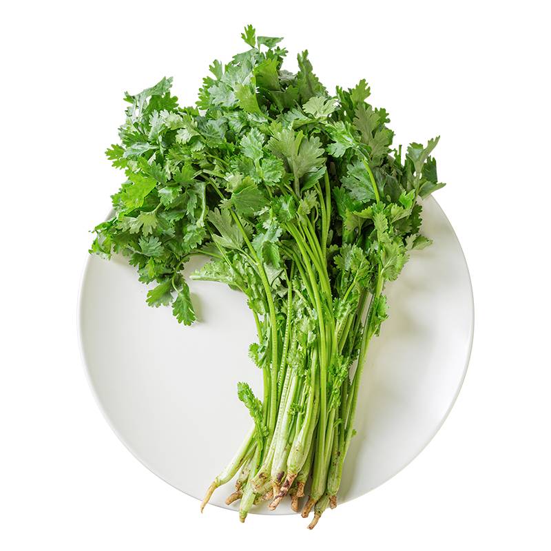 新鲜香菜    100g/份