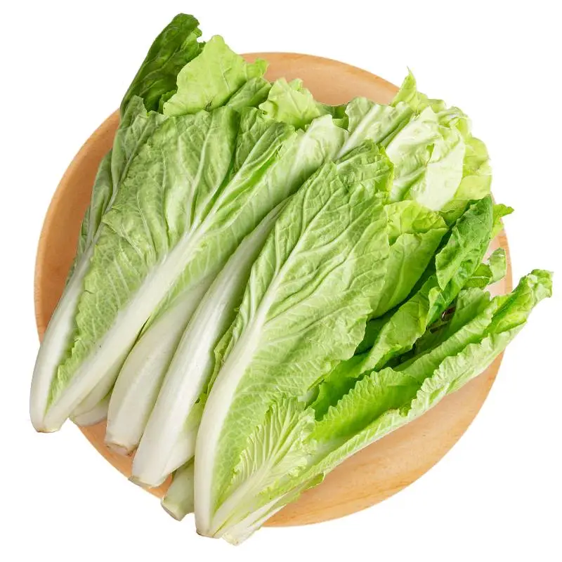 新鲜小白菜(白秆) 450g-500g/份