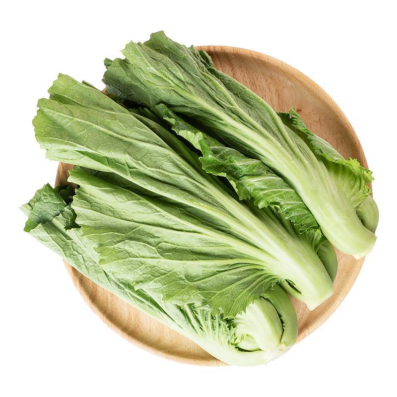 新鲜钙菜  盖菜 芥菜 450g-500g/份