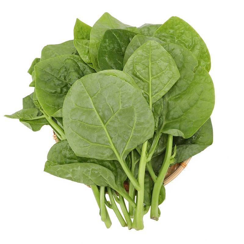 新鲜木耳菜   450g-500g/份  