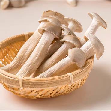 新鲜鹿茸菇   250g/份  
