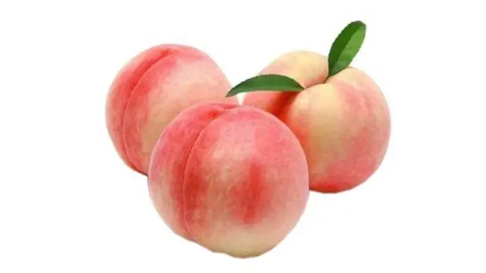 脆甜古田桃子  500g-550g/份