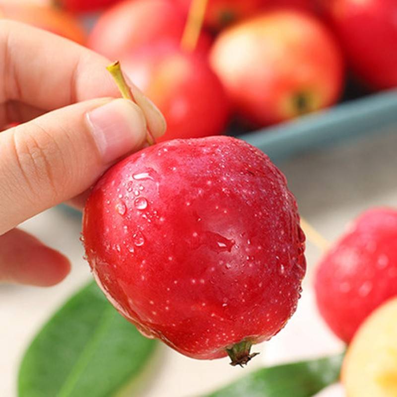 东北鸡心果小苹果   450g-500g/盒