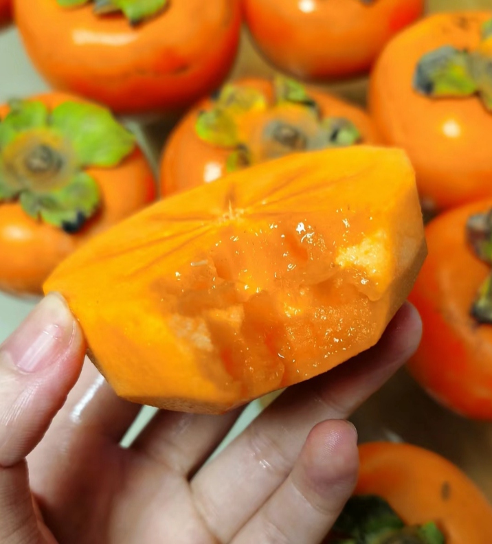 新鲜脆柿子苹果黄硬柿子   450g-500g