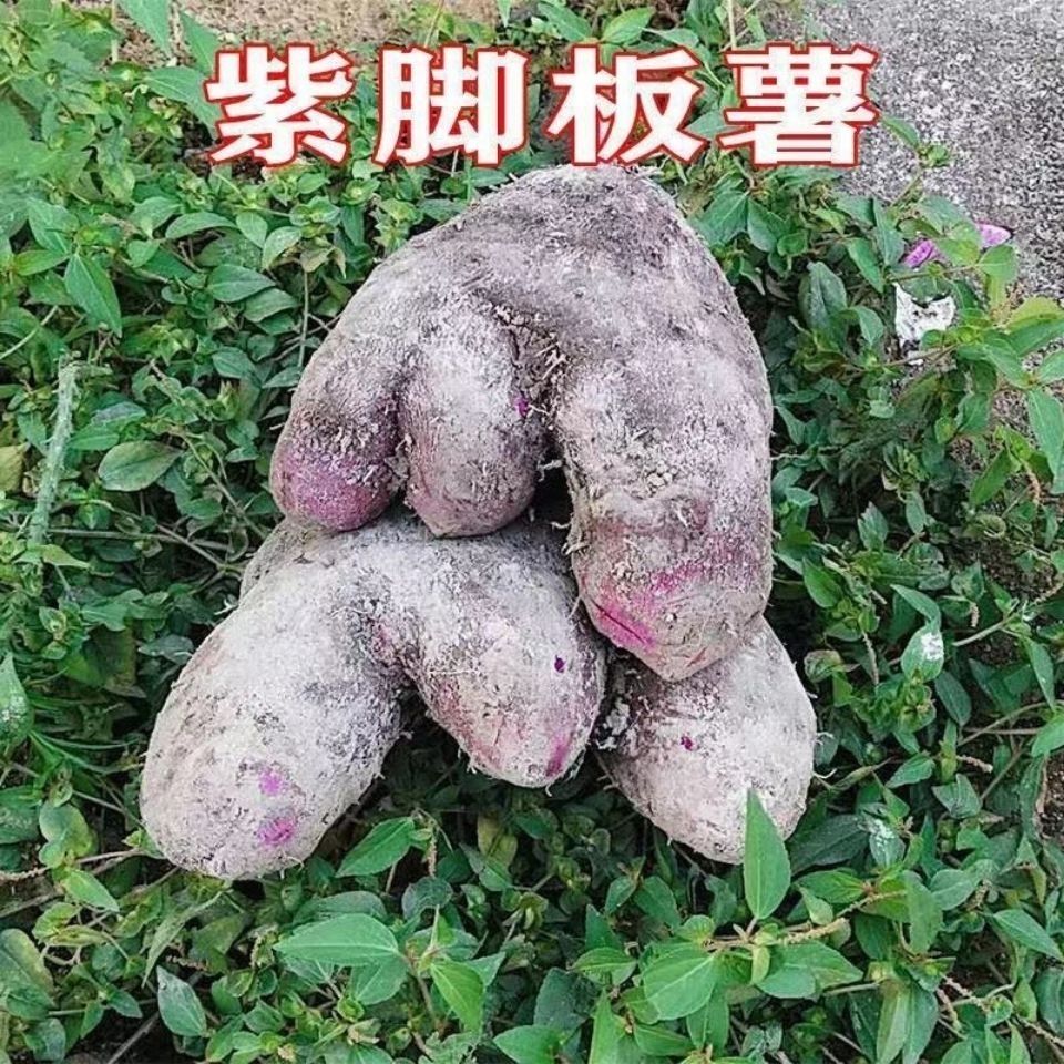 紫山药脚板薯木薯    450g-500g/份