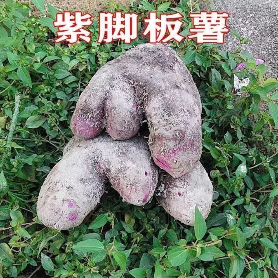 紫山药脚板薯木薯 450g-500g/份